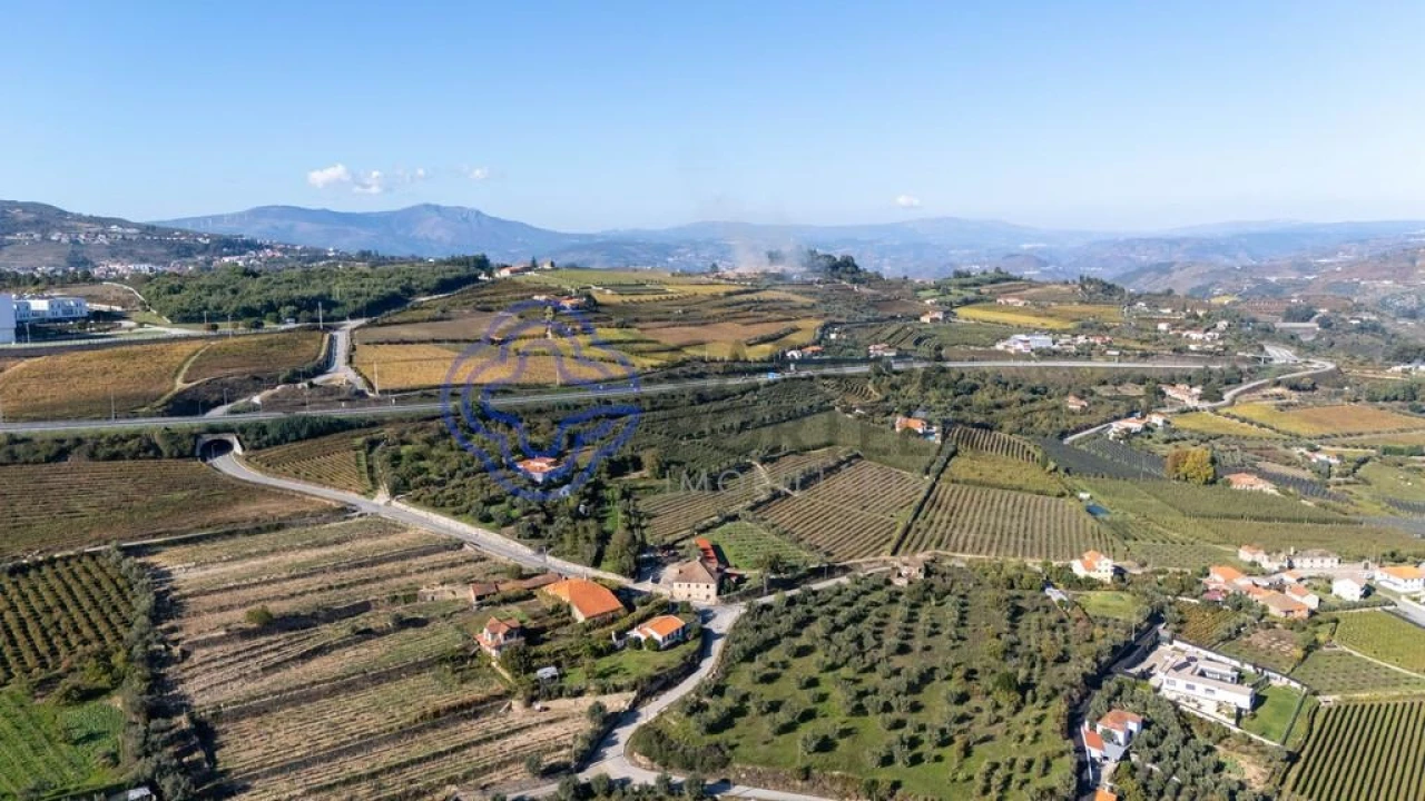 Quinta T5 para Venda em Cepões, Meijinhos e Melcões Foto 33