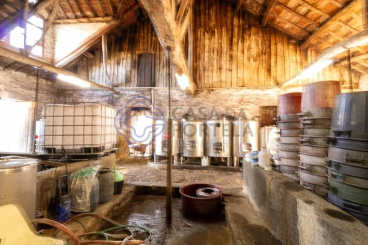 Quinta T5 para Venda em Cepões, Meijinhos e Melcões Foto 17