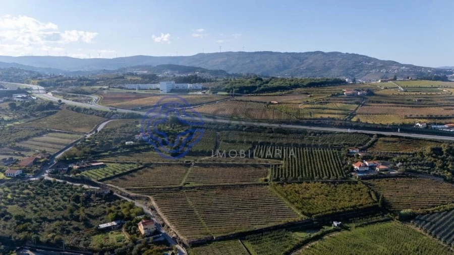 Quinta T5 para Venda em Cepões, Meijinhos e Melcões Foto 59