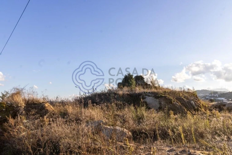 Quinta T5 para Venda em Cepões, Meijinhos e Melcões Foto 29