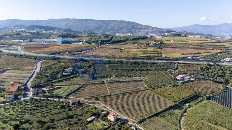 Quinta T5 para Venda em Cepões, Meijinhos e Melcões Foto 31