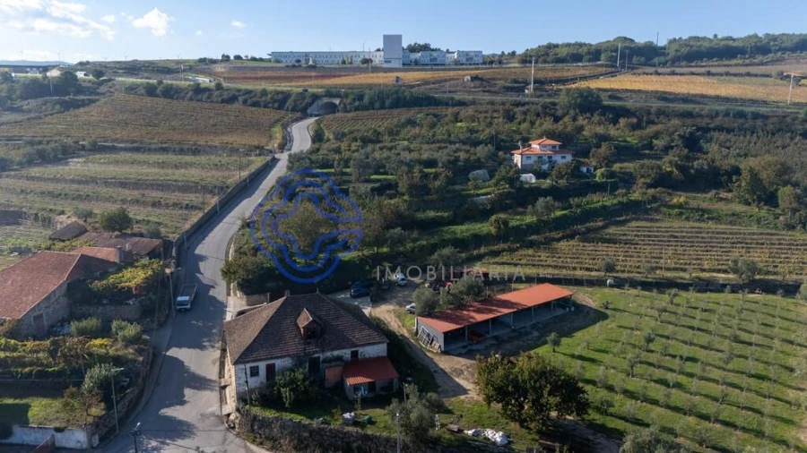 Quinta T5 para Venda em Cepões, Meijinhos e Melcões Foto 43