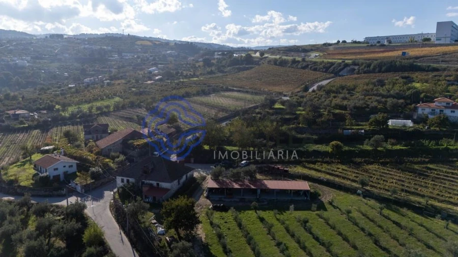 Quinta T5 para Venda em Cepões, Meijinhos e Melcões Foto 61
