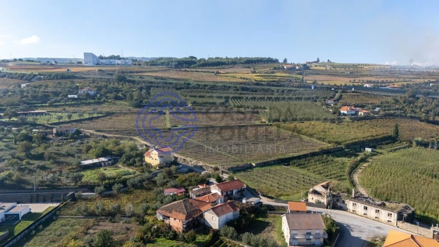 Quinta T5 para Venda em Cepões, Meijinhos e Melcões Foto 38