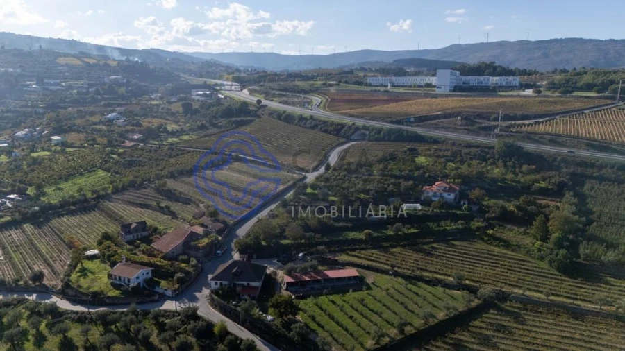 Quinta T5 para Venda em Cepões, Meijinhos e Melcões Foto 60