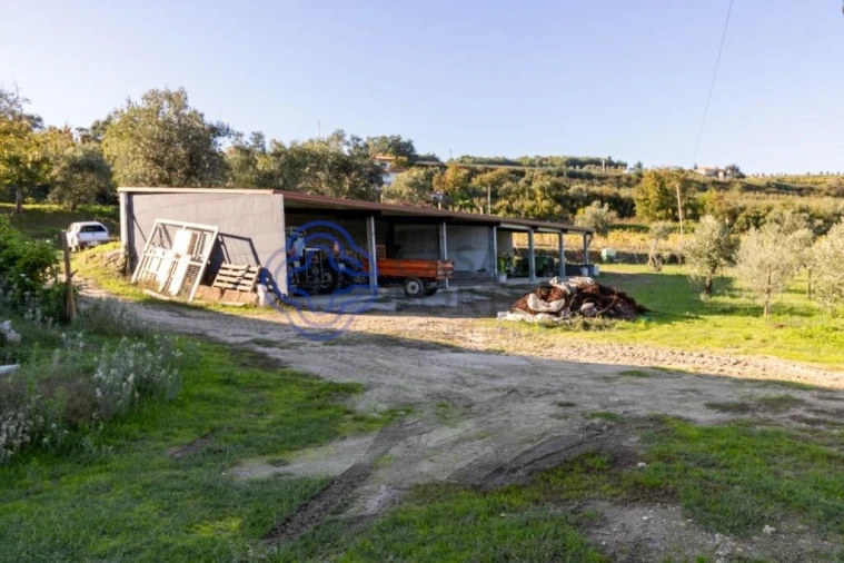 Quinta T5 para Venda em Cepões, Meijinhos e Melcões Foto 12