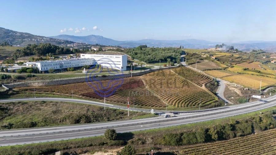 Quinta T5 para Venda em Cepões, Meijinhos e Melcões Foto 54