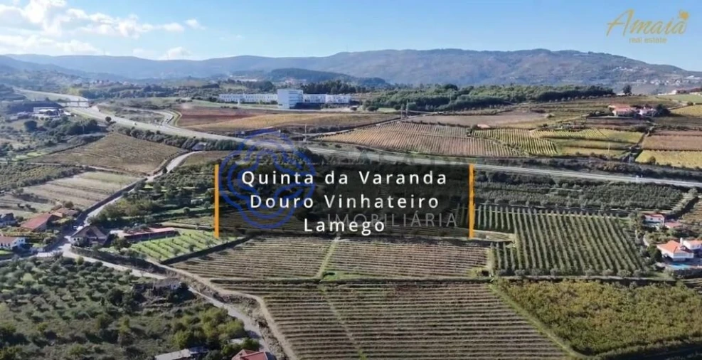 Quinta T5 para Venda em Cepões, Meijinhos e Melcões Foto 2