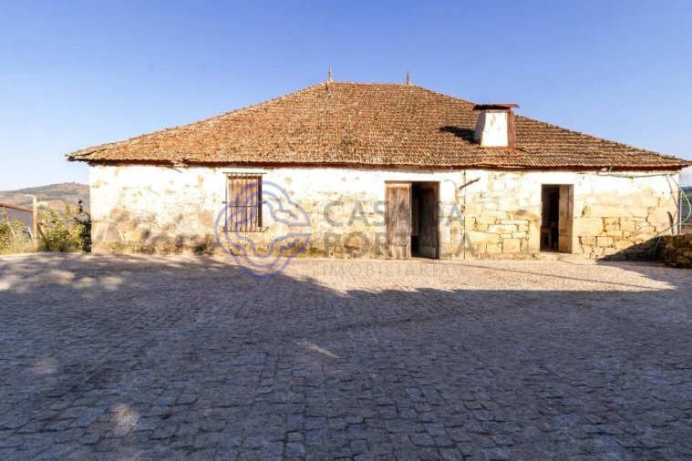 Quinta T5 para Venda em Cepões, Meijinhos e Melcões Foto 8