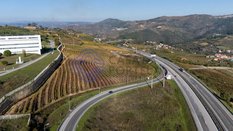 Quinta T5 para Venda em Cepões, Meijinhos e Melcões Foto 49