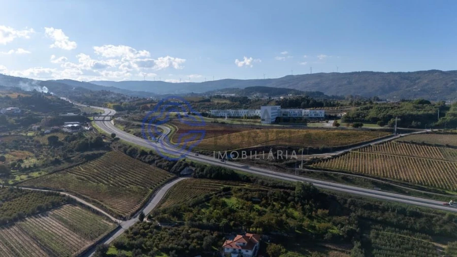 Quinta T5 para Venda em Cepões, Meijinhos e Melcões Foto 58