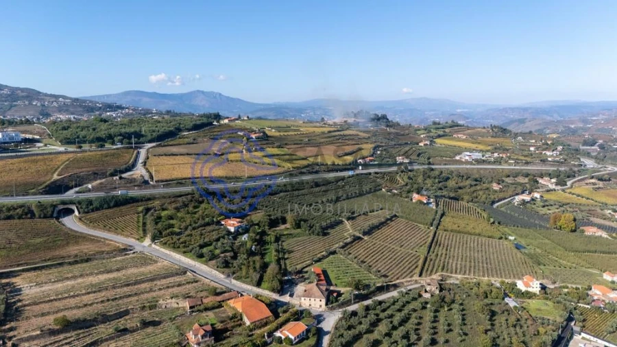 Quinta T5 para Venda em Cepões, Meijinhos e Melcões Foto 34