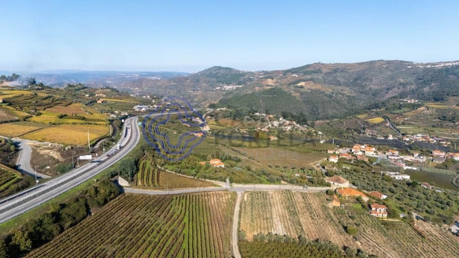 Quinta T5 para Venda em Cepões, Meijinhos e Melcões Foto 55