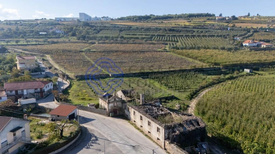 Quinta T5 para Venda em Cepões, Meijinhos e Melcões Foto 36