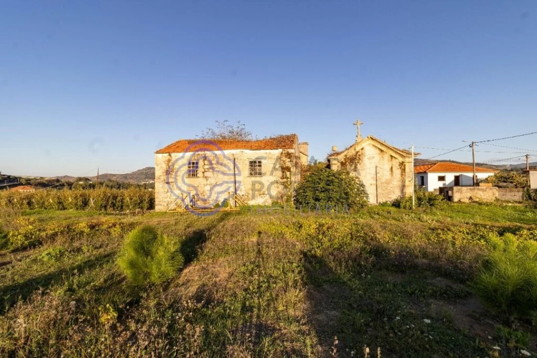 Quinta T5 para Venda em Cepões, Meijinhos e Melcões Foto 25