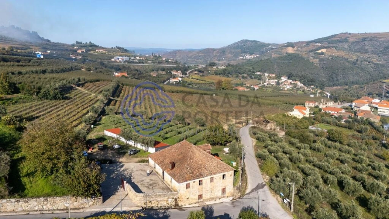 Quinta T5 para Venda em Cepões, Meijinhos e Melcões Foto 40