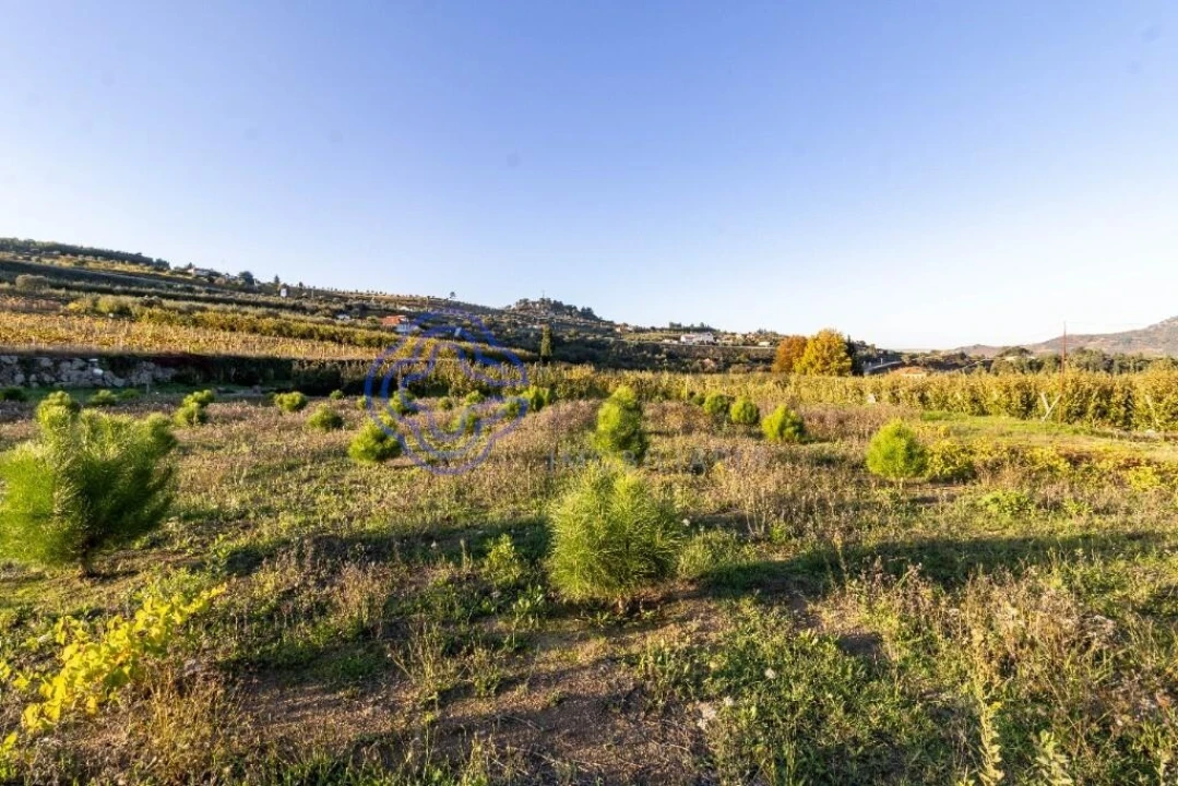 Quinta T5 para Venda em Cepões, Meijinhos e Melcões Foto 26