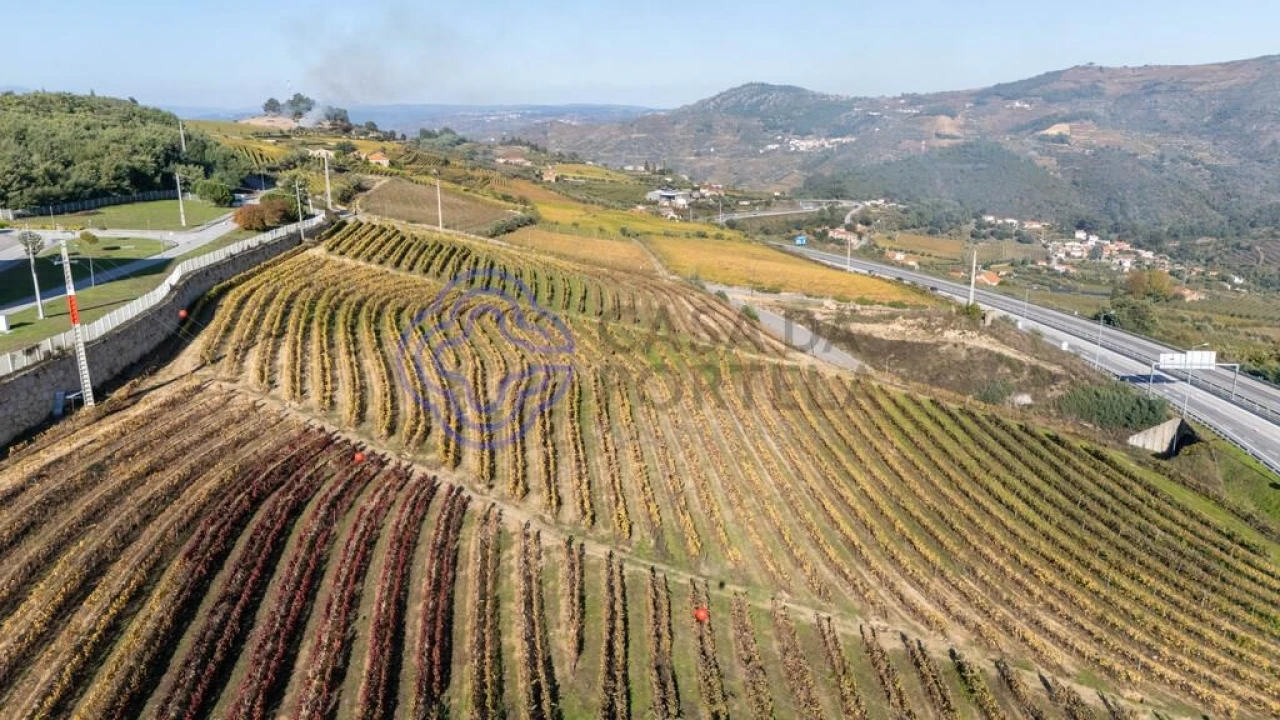 Quinta T5 para Venda em Cepões, Meijinhos e Melcões Foto 48