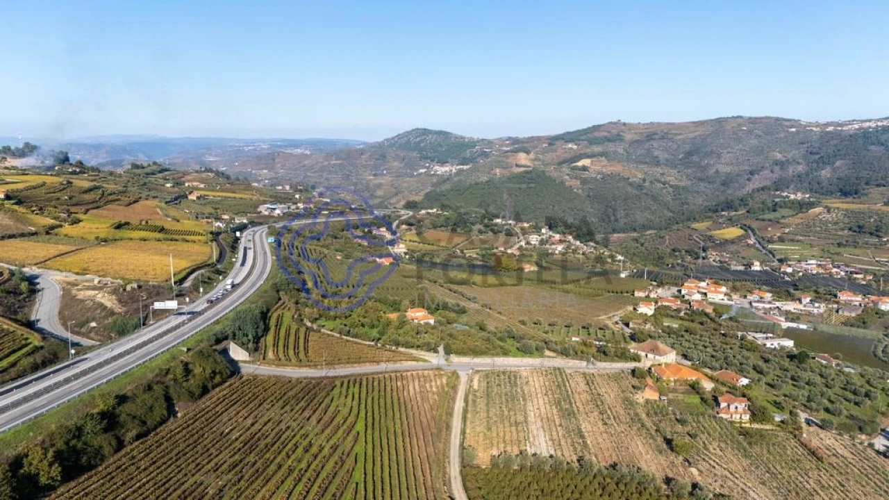 Quinta T5 para Venda em Cepões, Meijinhos e Melcões Foto 55
