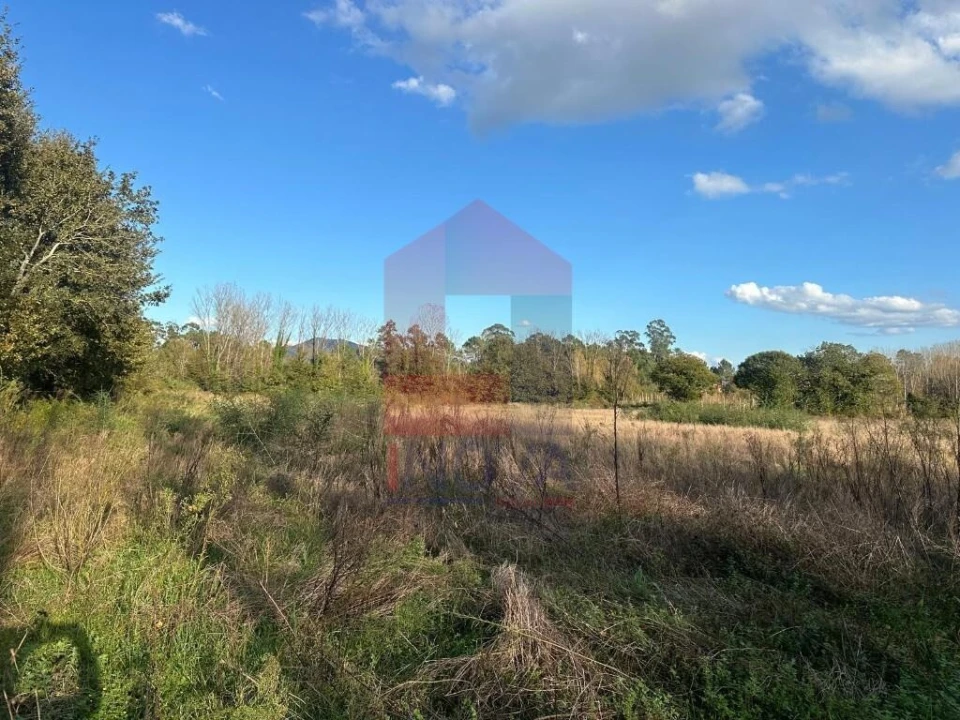 Terreno para Venda em Loureira Foto 11