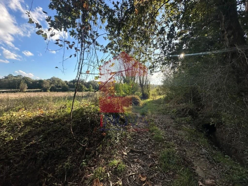 Terreno para Venda em Loureira Foto 22