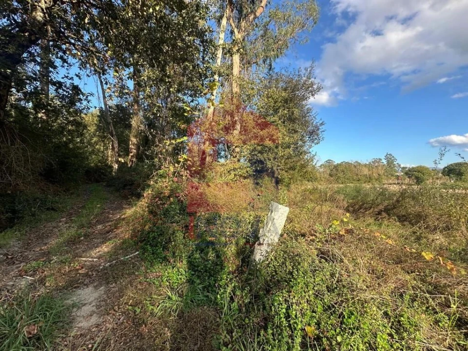 Terreno para Venda em Loureira Foto 2
