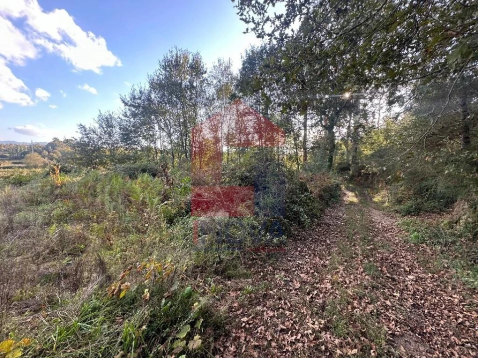 Terreno para Venda em Loureira Foto 27