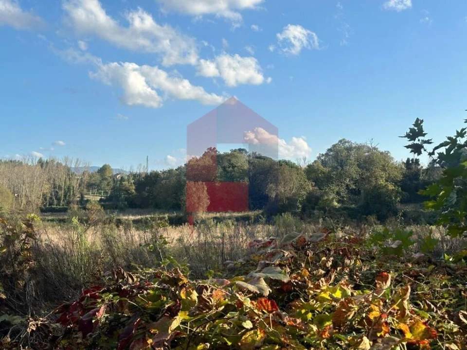 Terreno para Venda em Loureira Foto 9