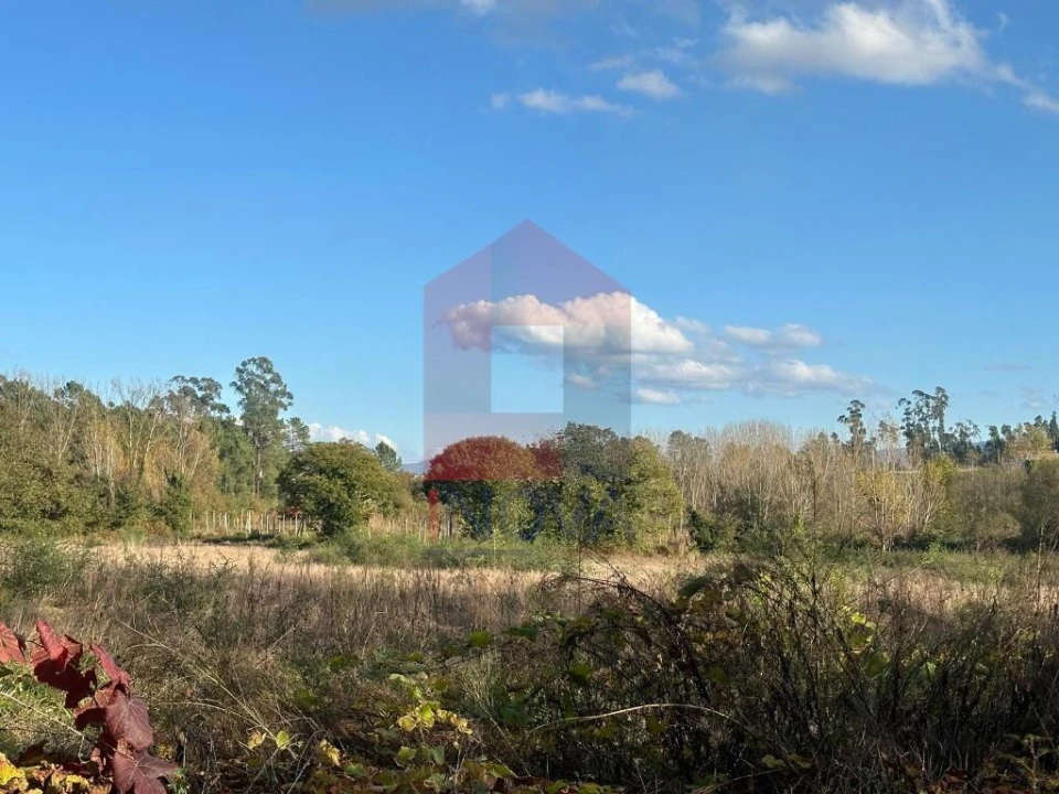 Terreno para Venda em Loureira Foto 18