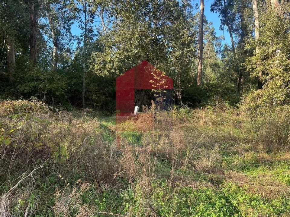 Terreno para Venda em Loureira Foto 13