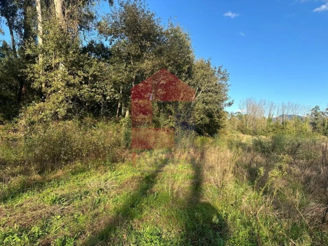 Terreno para Venda em Loureira Foto 12