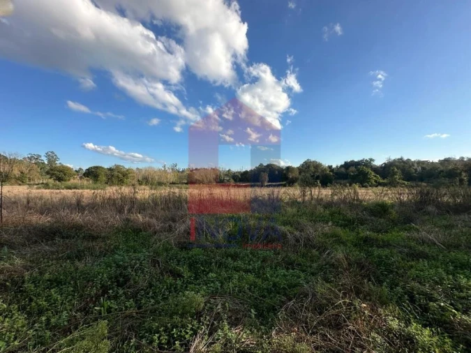 Terreno para Venda em Loureira Foto 15