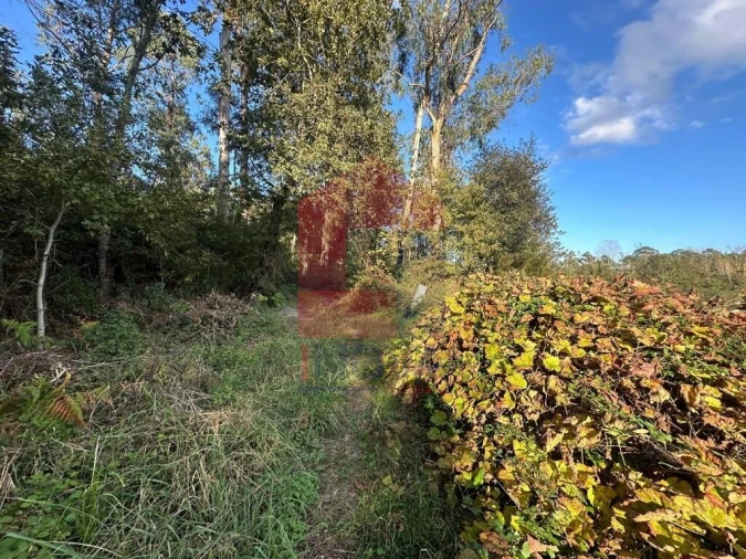 Terreno para Venda em Loureira Foto 6