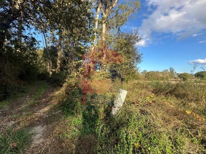 Terreno para Venda em Loureira Foto 2