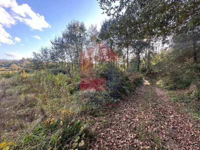 Terreno para Venda em Loureira Foto 27