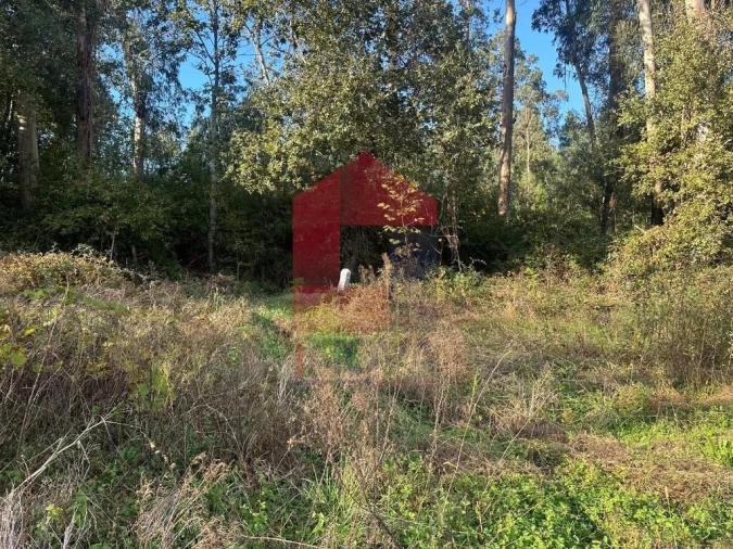 Terreno para Venda em Loureira Foto 13
