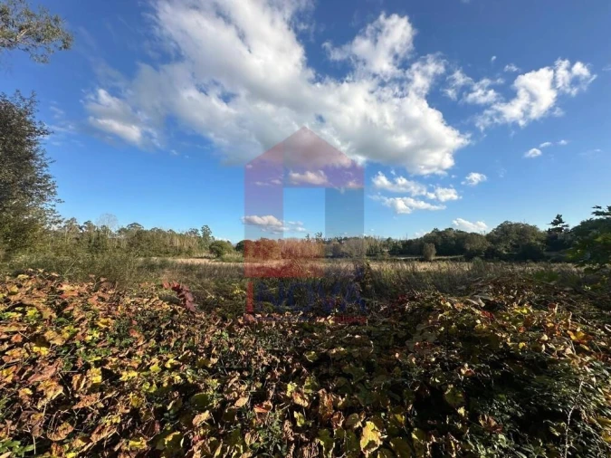 Terreno para Venda em Loureira Foto 5