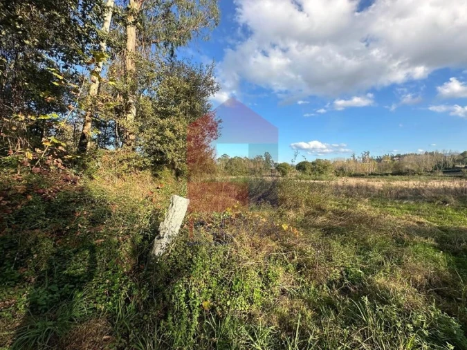 Terreno para Venda em Loureira Foto 7