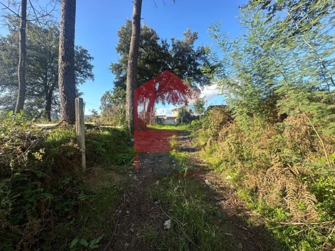 Terreno para Venda em Loureira Foto 28