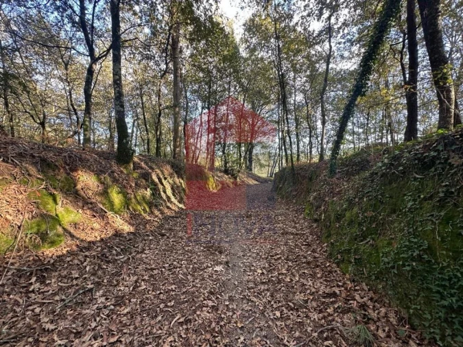 Terreno para Venda em Loureira Foto 25