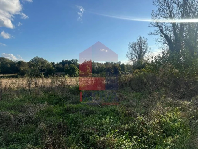 Terreno para Venda em Loureira Foto 14