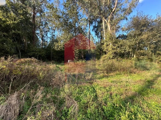 Terreno para Venda em Loureira Foto 17