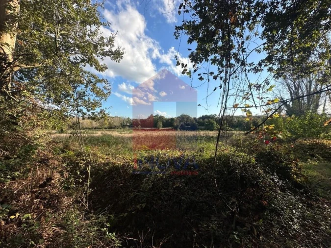 Terreno para Venda em Loureira Foto 21