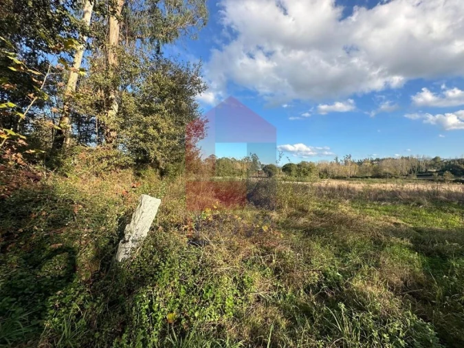 Terreno para Venda em Loureira Foto 3