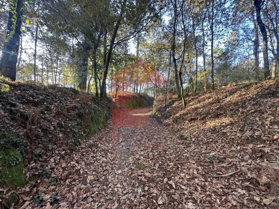 Terreno para Venda em Loureira Foto 23