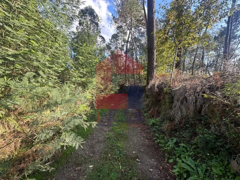 Terreno para Venda em Loureira Foto 29