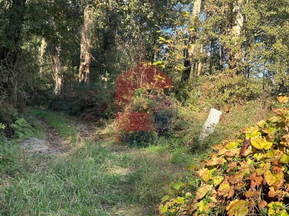 Terreno para Venda em Loureira Foto 20