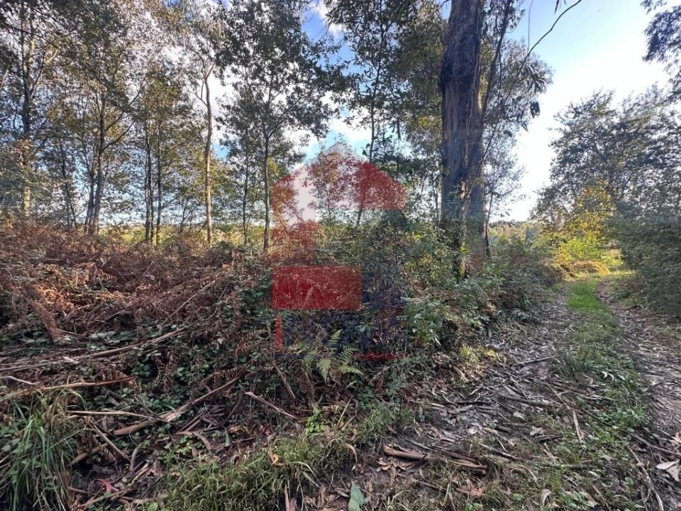 Terreno para Venda em Loureira Foto 24