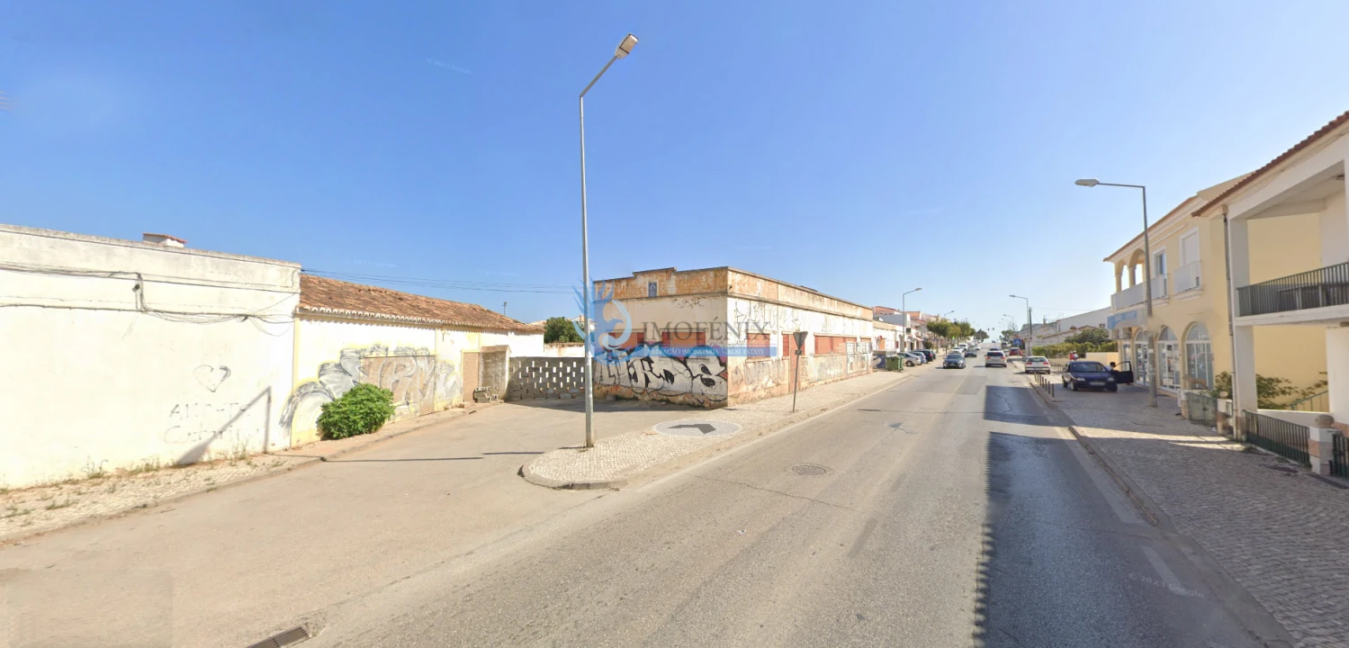 Terreno para Venda em Ferreiras Foto 3