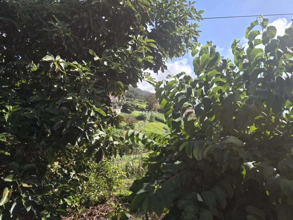 Terreno para Venda em Canhas Foto 16